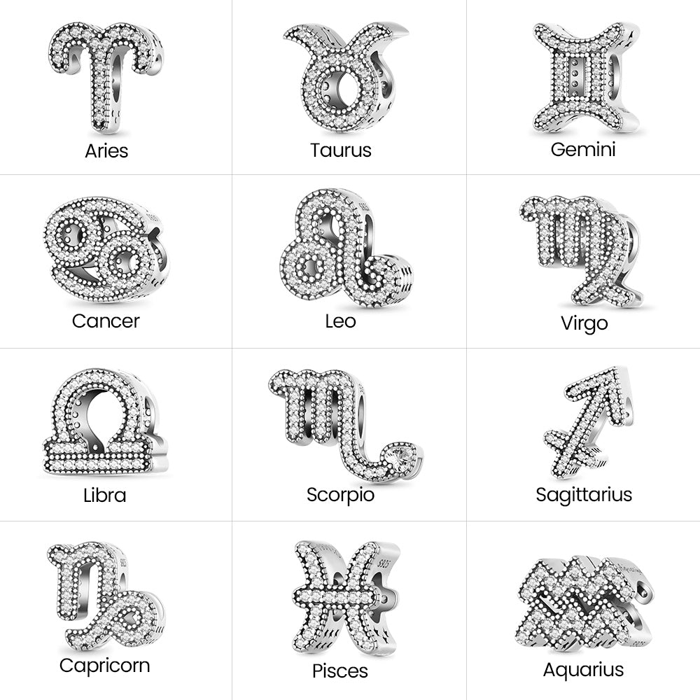 Gnoce Twelve Constellation Lucky Charm_6