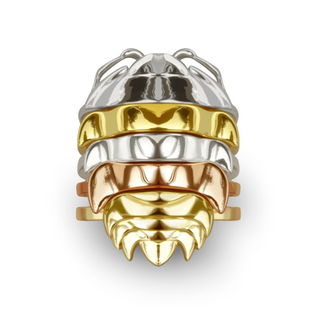 Gnoce Rainbow Isopod Insect Stacking Rings_1