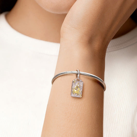 Gnoce Constellation Cancer Pendant Dangle Charm_2