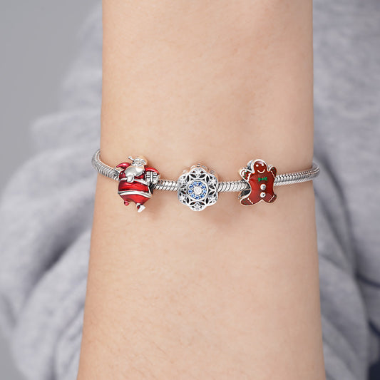 Romantic Snowflakes Charm Bead 925 Sterling Silver Inlaid with Sky Blue Zircon Stones_3