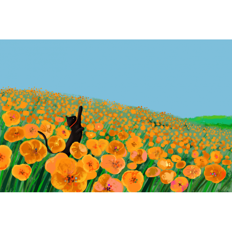 Gnoce Greeting Message Card_1