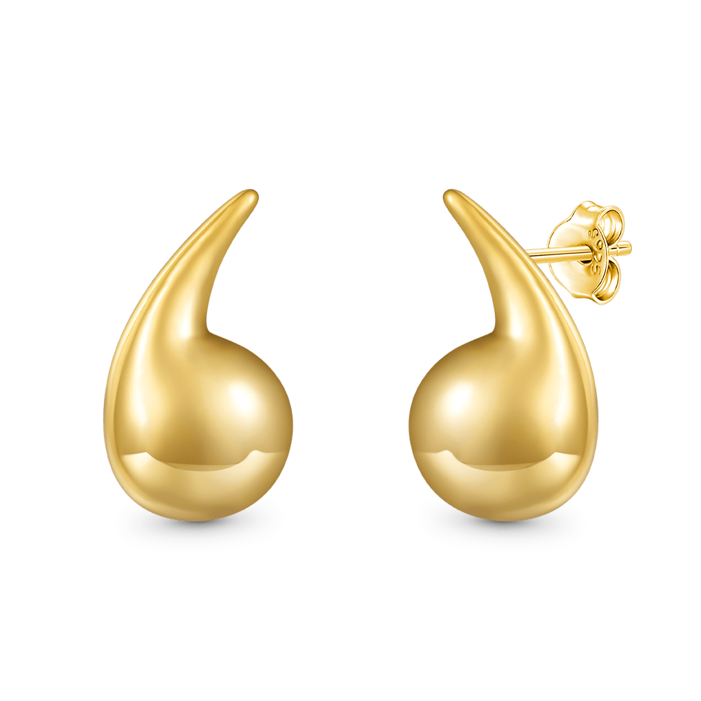 Gnoce Drop Shape Earrings_2