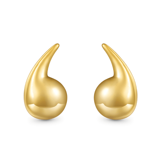 Gnoce Drop Shape Earrings_1