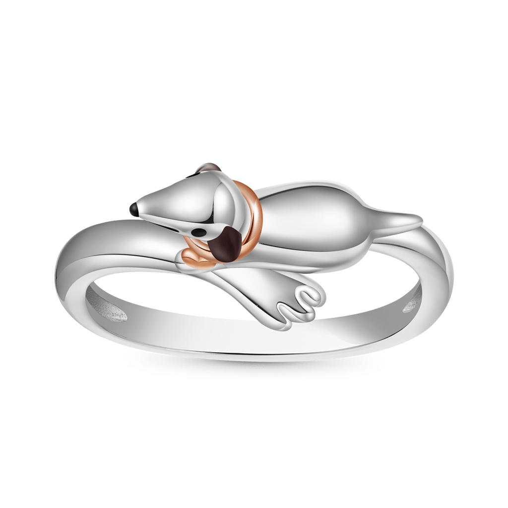 Gnoce Dachshund Dog Ring_2