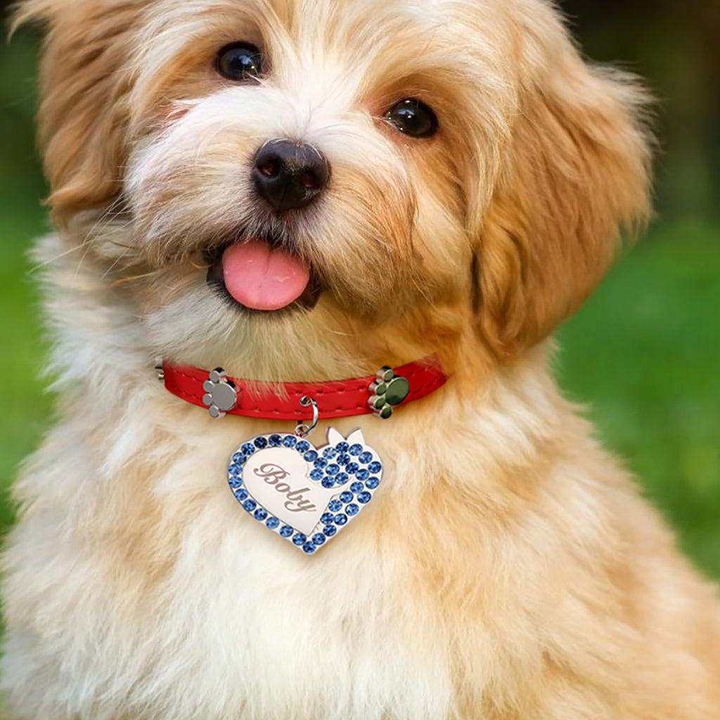 Gnoce Engravable Dog Heart Pet Tag & Flame Red Collar Anti-Lost_5