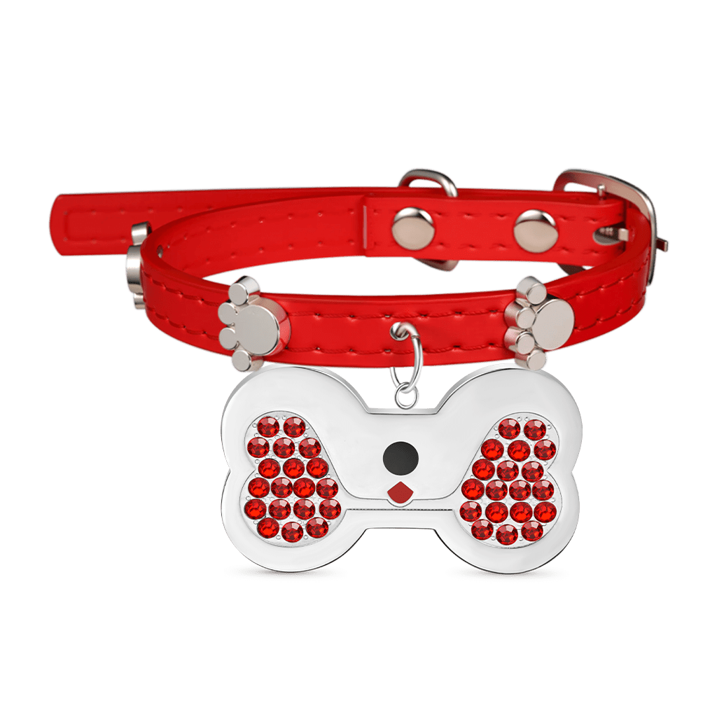 Gnoce Engravable Dog Bone Pet Tag & Flame Red Collar Anti-Lost_2