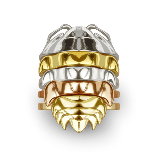 Gnoce Rainbow Isopod Insect Stacking Rings_1