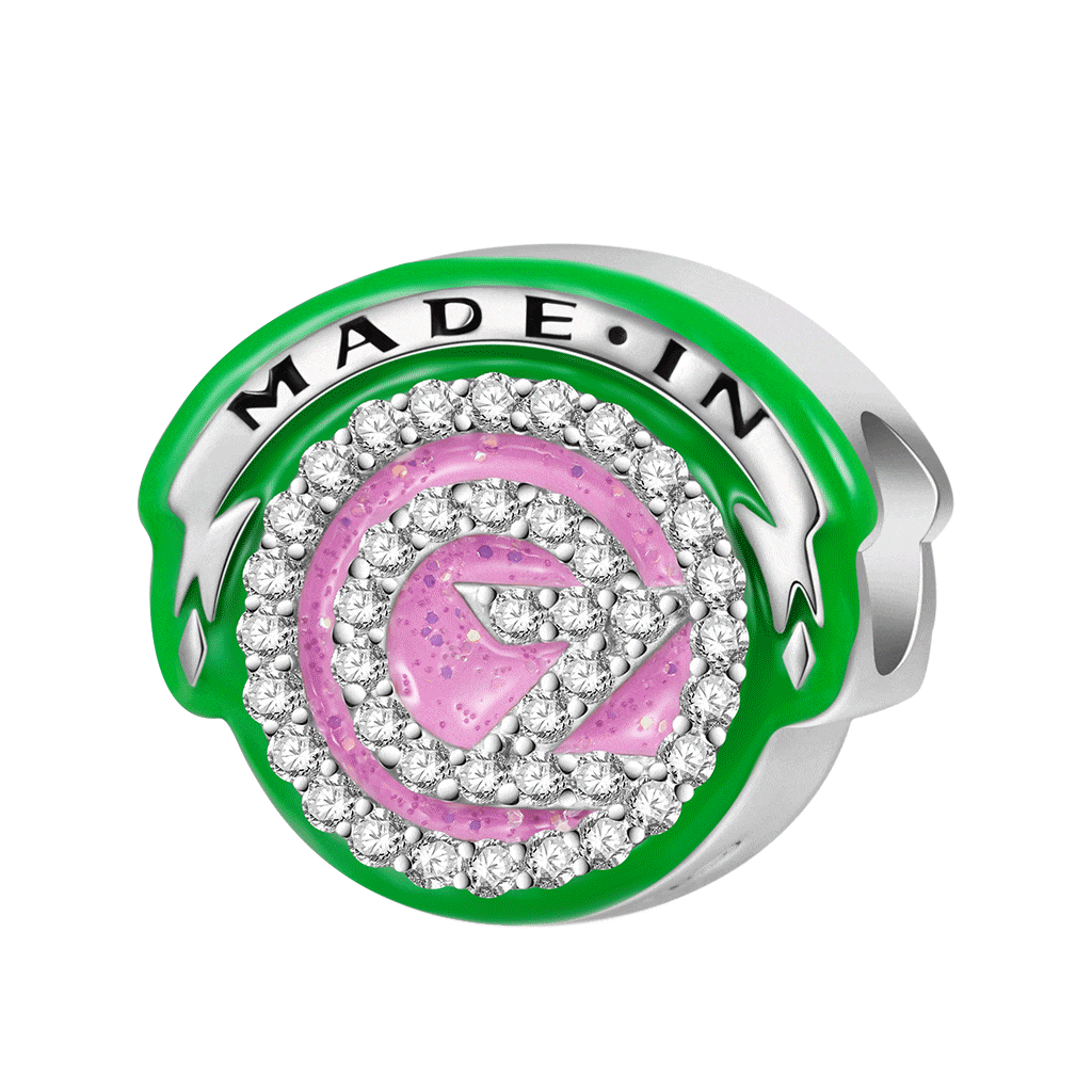 Wicked Charm OZ Logo Charm