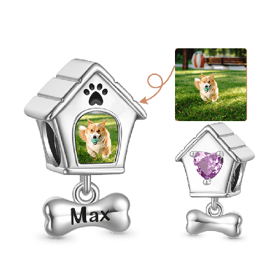 Charm De Foto De Casa Para Perro